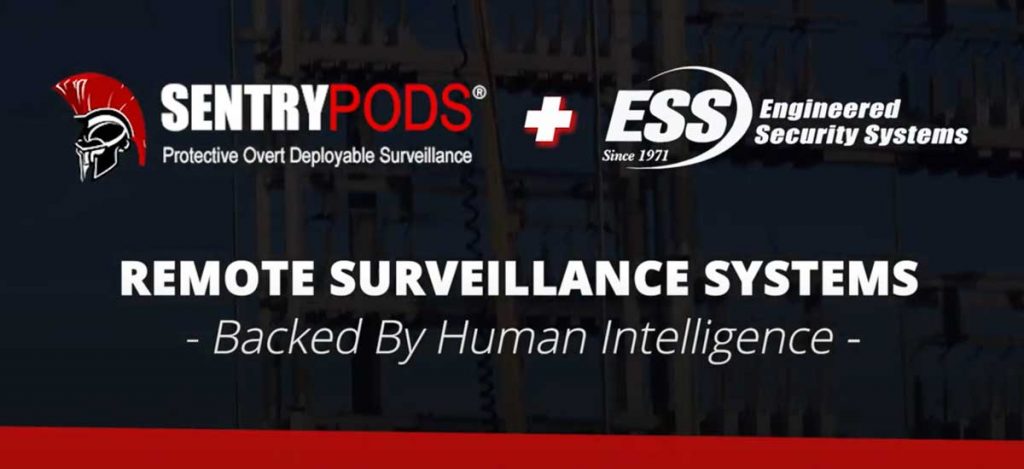 remote surveillance monitoring services